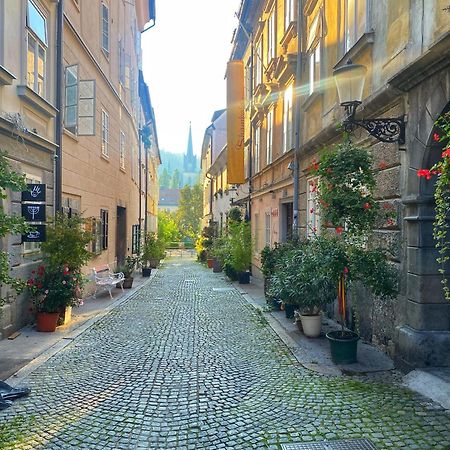 1Br Apartment On The Most Beautiful Street In Ljubljana Center Екстер'єр фото