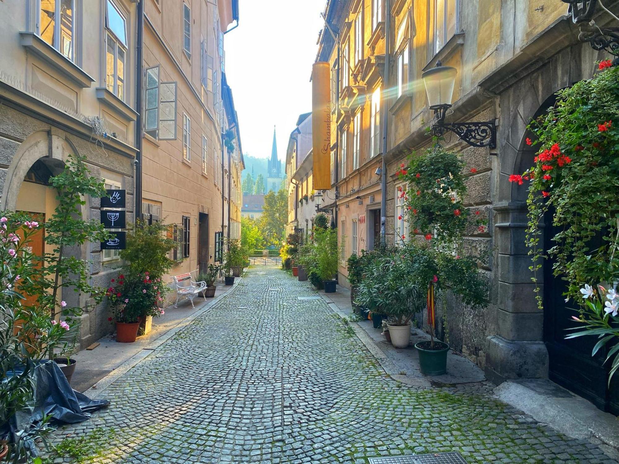 1Br Apartment On The Most Beautiful Street In Ljubljana Center Екстер'єр фото
